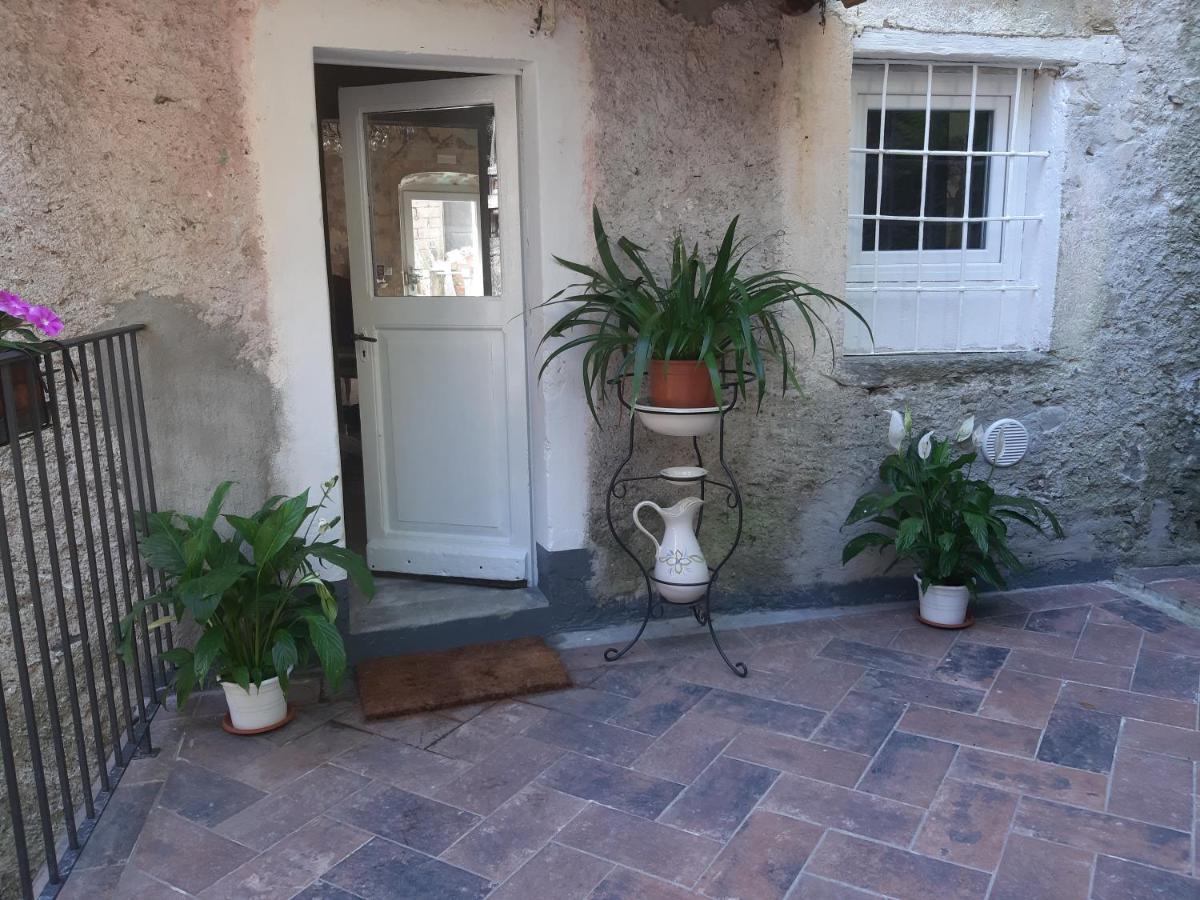 Bed and Breakfast Il mulino di Aurora Dosso del Liro Esterno foto